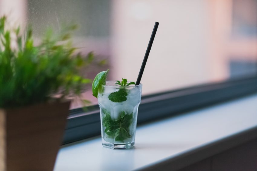 Glass on window sill with ice, leaves and straw, next to potted plant